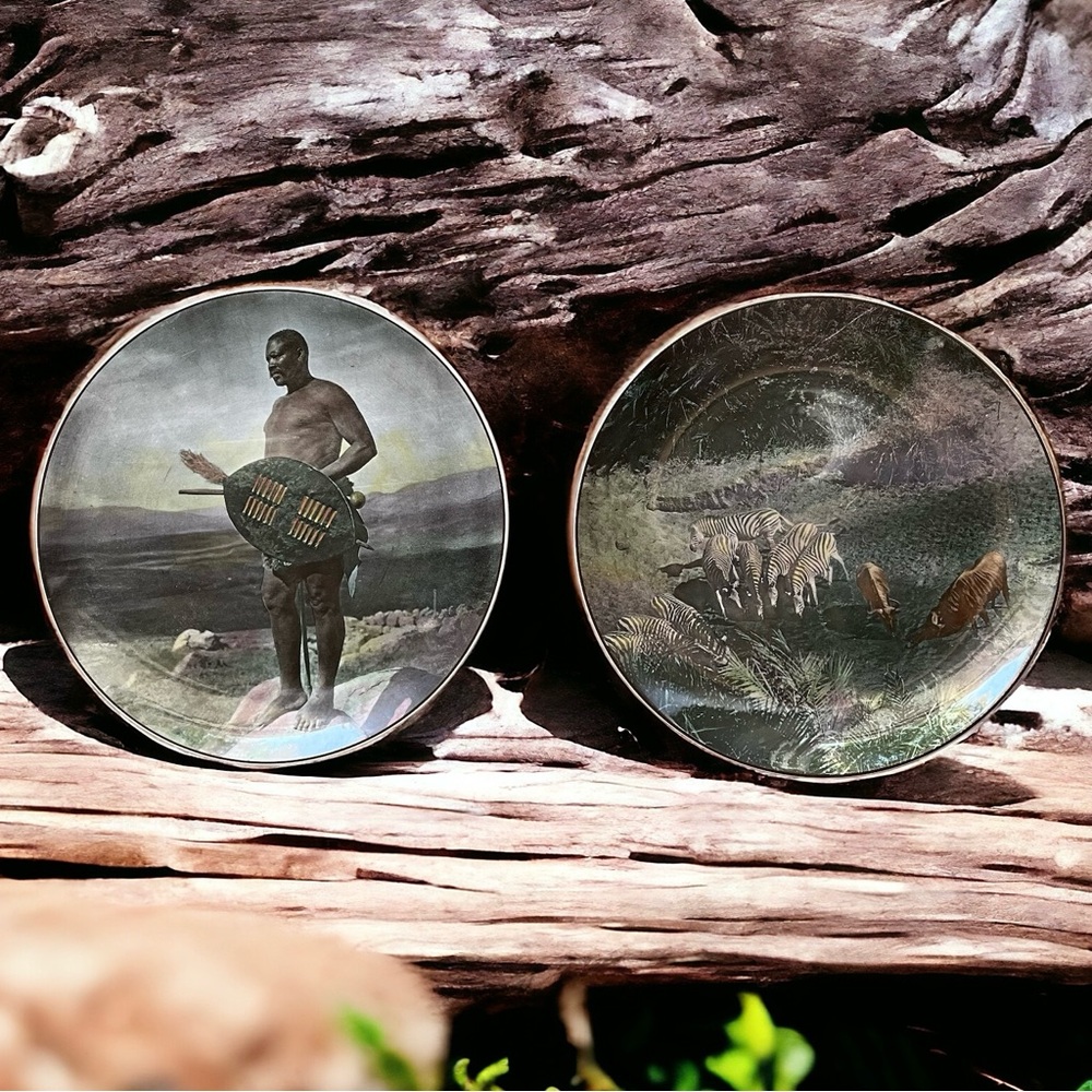 Two Royal Doulton African Series Collector Plates